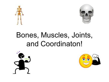 Bones, Muscles, Joints, and Coordinaton!. Bones! What are the three functions of bones? –Support –Movement –Protection.