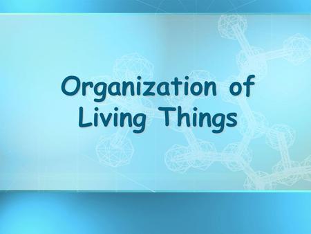 Organization of Living Things. What Are the Main Characteristics of organisms? 1.Made of CELLS 2.Require ENERGY (food) 3.REPRODUCE 4.RESPOND to stimuli.