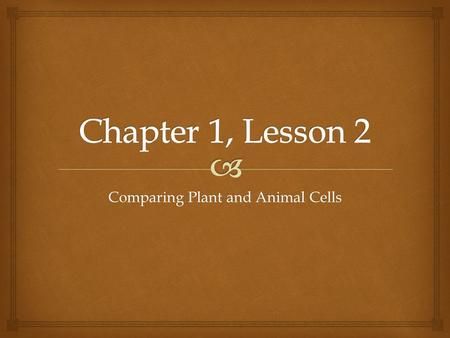 Comparing Plant and Animal Cells.   After this lesson, you should be able to:  Identify ways that plant and animal cells are alike and different. 
