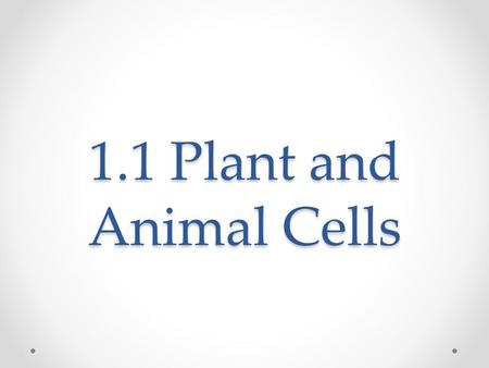 1.1 Plant and Animal Cells. DISCOVERY OF THE CELL Invention of the microscope in the 1600s allowed scientists to view cells Cells were first described.