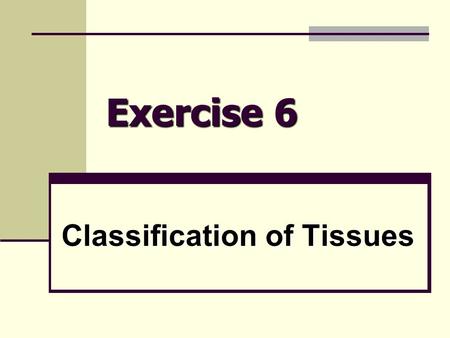 Exercise 6 Classification of Tissues. What is a tissue? Groups of cells Groups of cells Similar in structure & function Similar in structure & function.