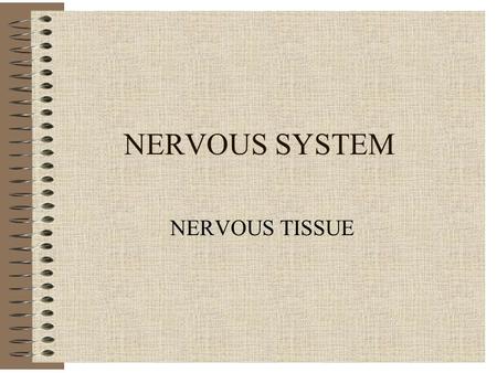 NERVOUS SYSTEM NERVOUS TISSUE. Nervous System - General Control System Regulator of Homeostasis Electrical Impulses Rapid & Transient Effects.