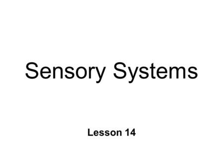 Sensory Systems Lesson 14. Sensory Information n Detection of changes in environment l external or internal n 4 main functions l perception l control.