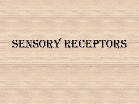 Sensory Receptors. (a) Receptor is afferent neuron.(b) Receptor regulates afferent neuron. To CNS Afferent neuron To CNS Receptor protein Sensory receptor.