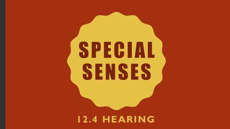 SPECIAL SENSES 12.4 HEARING. SPECIAL SENSES: HEARING Structures of the Ear –Outer Ear Auricle: visible part of the ear –Collects sound waves and directs.