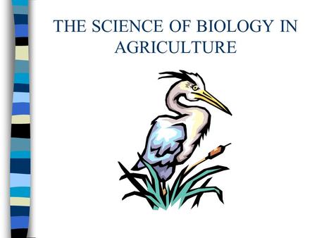 THE SCIENCE OF BIOLOGY IN AGRICULTURE. Science n A process through which nature is studied, discovered, and understood. n Biology is the study of life.