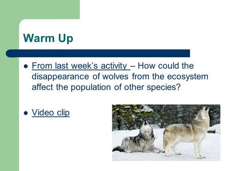 Warm Up From last week’s activity – How could the disappearance of wolves from the ecosystem affect the population of other species? Video clip.