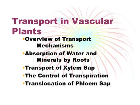 Transport in Vascular Plants  Overview of Transport Mechanisms  Absorption of Water and Minerals by Roots  Transport of Xylem Sap  The Control of Transpiration.