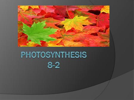 Photosynthesis 8-2.