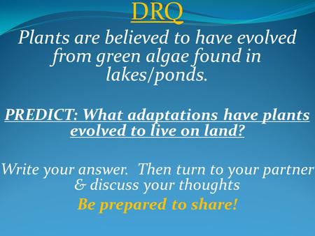 DRQ Plants are believed to have evolved from green algae found in lakes/ponds. PREDICT: What adaptations have plants evolved to live on land? Write your.