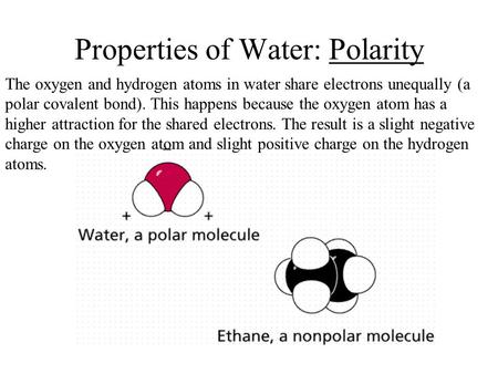 Properties of Water: Polarity The oxygen and hydrogen atoms in water share electrons unequally (a polar covalent bond). This happens because the oxygen.
