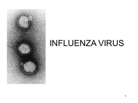 1 INFLUENZA VIRUS. 2 ‘FLU’ True influenza –influenza virus A or influenza virus B (or influenza virus C infections - much milder) Febrile (showing signs.