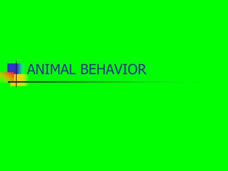 ANIMAL BEHAVIOR. In this activity you will: LEARN THE DIFFERENT KIND OF GROUPS ANIMALS LIVE IN LEARN HOW DIFFERENT KINDS OF ANIMALS CAN LIVE TOGETHER.