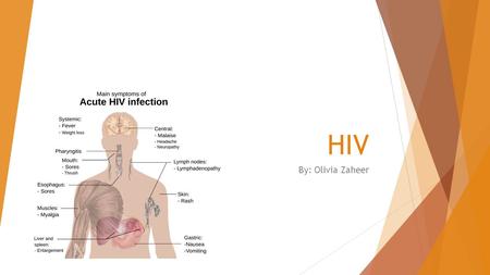 HIV By: Olivia Zaheer. What it is HIV stands for human immunodeficiency virus. HIV is a virus in the immune system that can not be cured. Your immune.