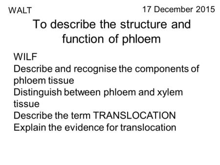 To describe the structure and function of phloem 17 December 2015 WALT WILF Describe and recognise the components of phloem tissue Distinguish between.