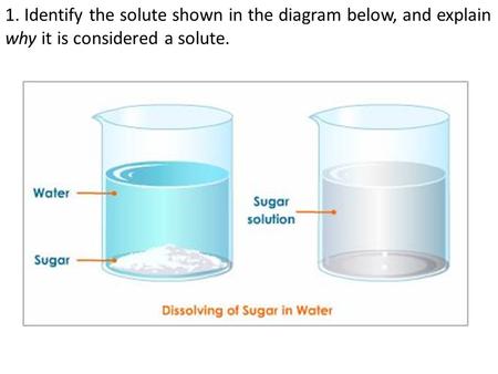 1. Identify the solute shown in the diagram below, and explain why it is considered a solute.