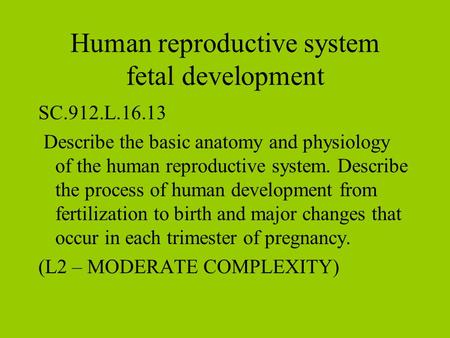 Human reproductive system fetal development