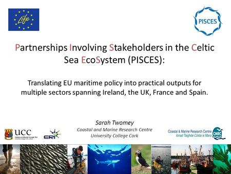 Partnerships Involving Stakeholders in the Celtic Sea EcoSystem (PISCES): Translating EU maritime policy into practical outputs for multiple sectors spanning.