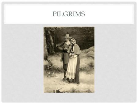 PILGRIMS. MANY OF THE PILGRIMS BECAME SICK AND DIED.