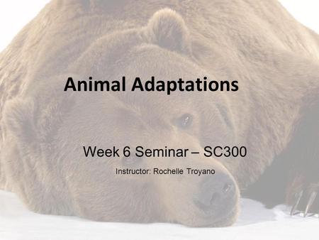 Week 6 Seminar – SC300 Instructor: Rochelle Troyano