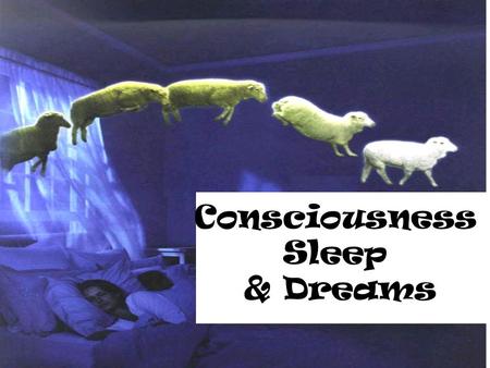 Consciousness Sleep & Dreams.