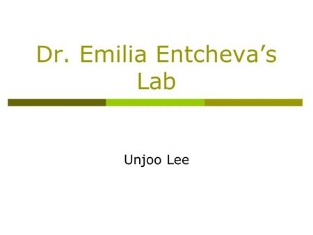 Dr. Emilia Entcheva’s Lab Unjoo Lee. About her  She is an associate Professor Director, Cardiac Cell Engineering LabCardiac Cell Engineering Lab.