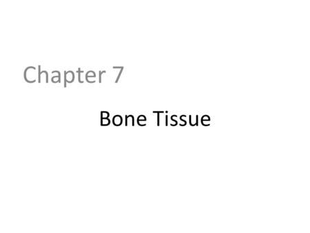 Bone Tissue Chapter 7. Objectives Know the functions of the skeletal system Understand how bones are classified Identify the macroscopic and microscopic.