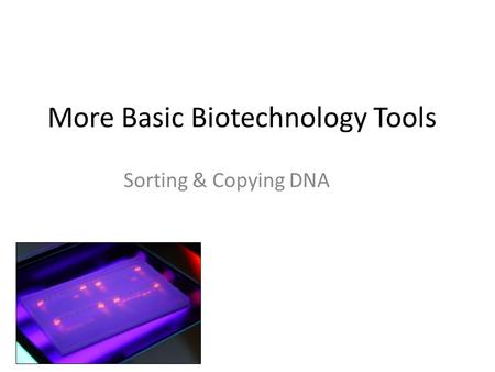 More Basic Biotechnology Tools Sorting & Copying DNA.