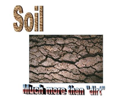 Soil is the growing medium for our food. Without it we could not survive. Soil purifies our waste. Soil is home to plants and animals. It may take up.