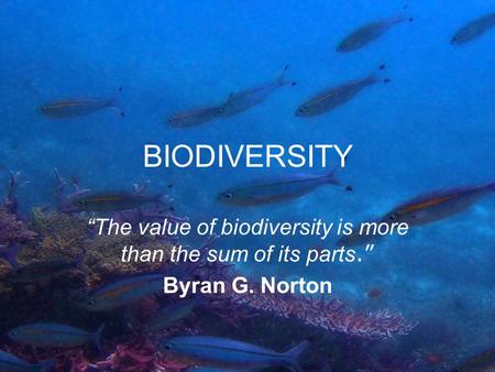 BIODIVERSITY “The value of biodiversity is more than the sum of its parts.” Byran G. Norton.