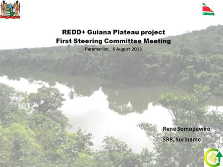 REDD+ Guiana Plateau project First Steering Committee Meeting Paramaribo, 6 August 2013 Rene Somopawiro SBB, Suriname.