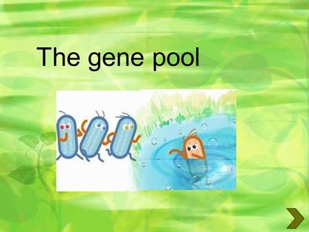 The gene pool. The Gene Pool The total number of genes of every individual in a population. Th is could be all the genes for all traits but we usually.