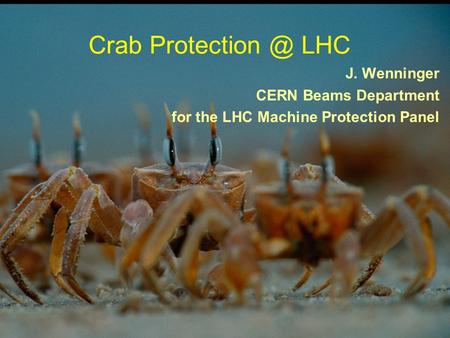 1 CC & MP - CC10 - CERN 16.12.2010 Crab LHC J. Wenninger CERN Beams Department for the LHC Machine Protection Panel.