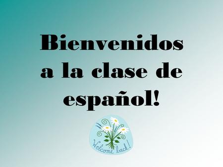 Bienvenidos a la clase de español!. Class Expectations.