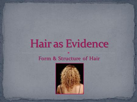 Form & Structure of Hair. Hair is frequently found at a crime scene Hair is frequently found at a crime scene Locard Exchange Principle Locard Exchange.