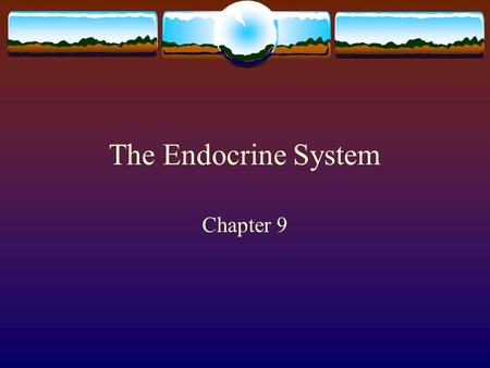 The Endocrine System Chapter 9.  Communication and Control – slower and long lasting through hormones – chemical messages – that effect a target organ.