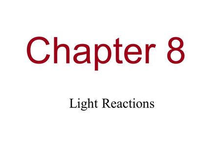 Chapter 8 Light Reactions. Need To Know How photosystems convert light energy into chemical energy. (There will be more on this in the next couple of.