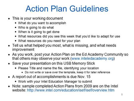 1 Action Plan Guidelines  This is your working document  What do you want to accomplish  Who is going to do what  When is it going to get done  What.