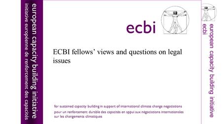 European capacity building initiativeecbi ECBI fellows’ views and questions on legal issues european capacity building initiative initiative européenne.