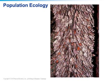 Copyright © 2008 Pearson Education, Inc., publishing as Benjamin Cummings Population Ecology.
