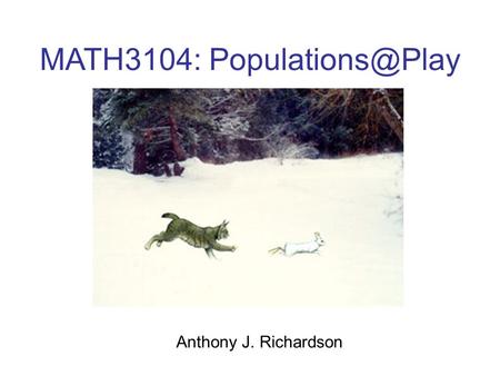 MATH3104: Anthony J. Richardson.