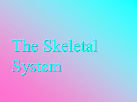 The Skeletal System  Parts of the skeletal system  Bones (skeleton)  Joints  Cartilages  Ligaments  Divided into two divisions  Axial skeleton.