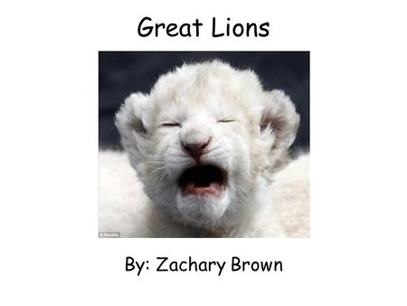 Great Lions By: Zachary Brown. Table of Contents Introduction…………….....3 Living……………………………..4 Growing………………..……....5 Look like………………………..6 Eating…………………………....7.