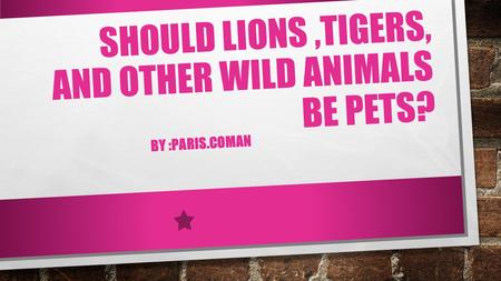 SHOULD LIONS,TIGERS, AND OTHER WILD ANIMALS BE PETS? BY :PARIS.COMAN.