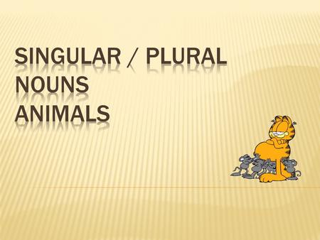  Singular is one!  Plural is many!  Rule 1: To make a singular word plural, in most cases “S” is added to the end of the word.