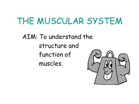THE MUSCULAR SYSTEM AIM: To understand the structure and function of muscles.