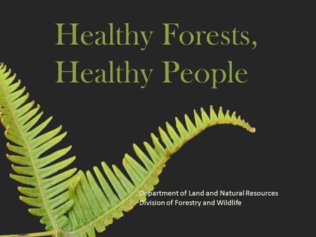 Healthy Forests, Healthy People Department of Land and Natural Resources Division of Forestry and Wildlife.