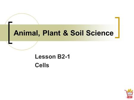 Animal, Plant & Soil Science Lesson B2-1 Cells. Interest Approach Discuss the materials used to build homes (lumber, brick, nails, etc.). Emphasize that.