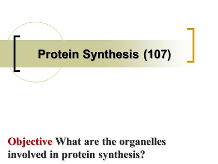 Objective What are the organelles involved in protein synthesis? Protein Synthesis (107)