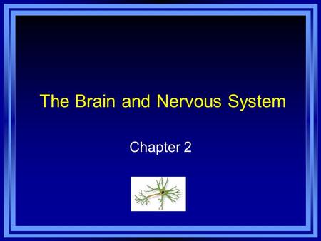 The Brain and Nervous System Chapter 2. Copyright © 2011 Pearson Education, Inc. All rights reserved. Overview of Nervous System Nervous System - an extensive.